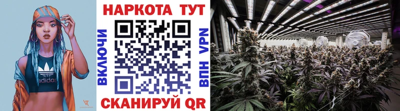 Купить Псков A PVP  Конопля  Меф  ГАШИШ  COCAIN 
