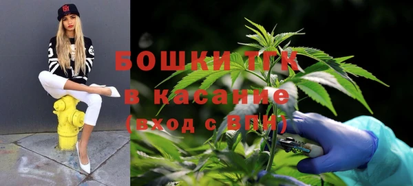 молекула духа Новокубанск