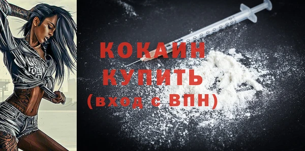 МДПВ Нефтегорск