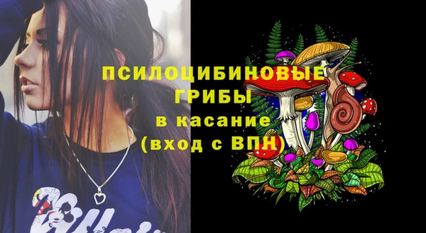 молекула духа Новокубанск