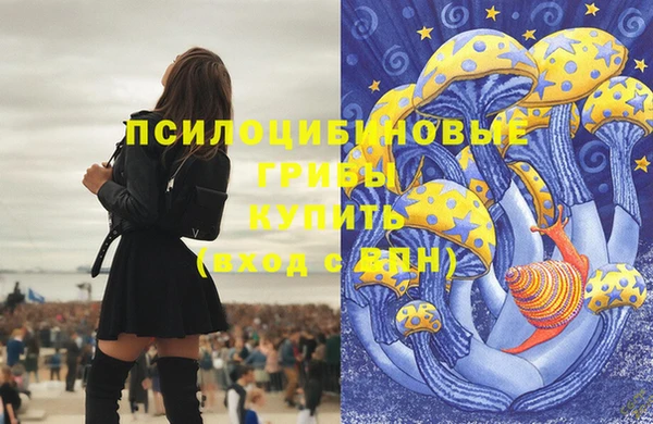 ALPHA PVP Новозыбков