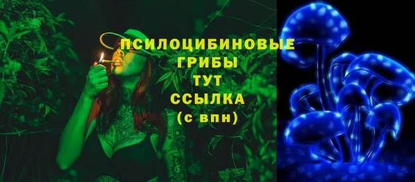молекула духа Новокубанск