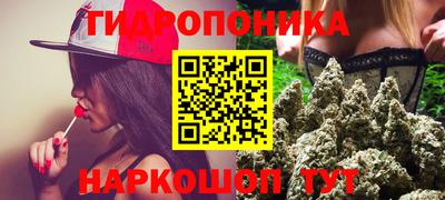 скорость Канаш